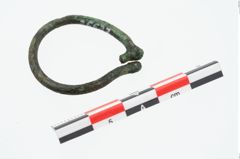 Foto von Bronzering (NHMW-PRAE-026637)